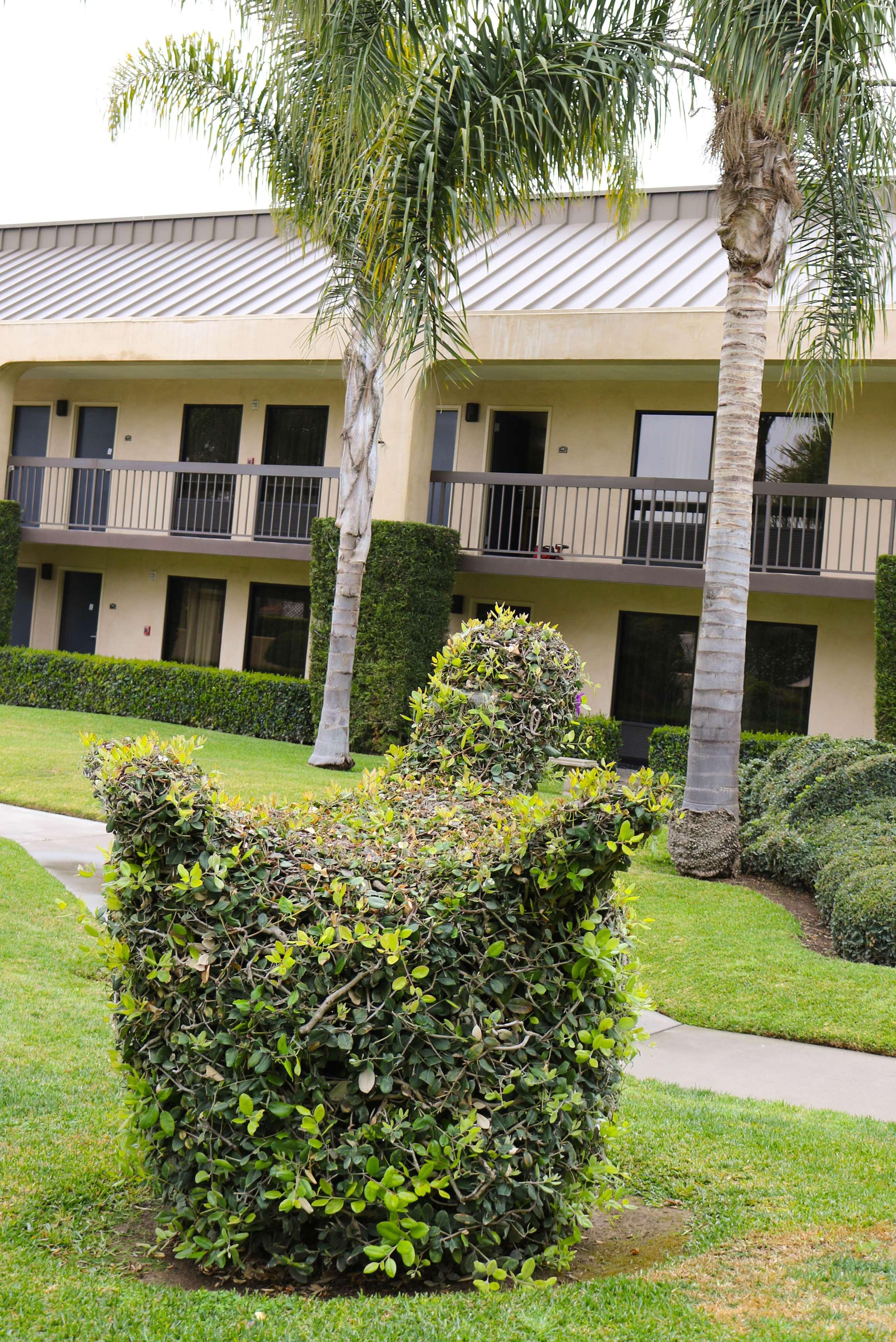 Best Western Plus South Coast Inn Goleta Zewnętrze zdjęcie
